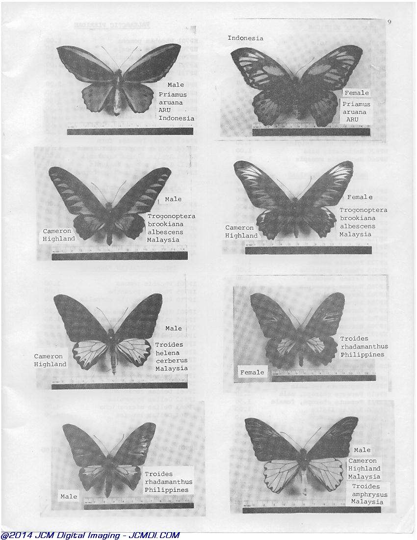 Complete Scientific 1980 Catalog page scan